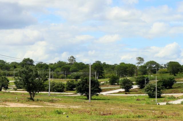 Lote pronto pra construir - 7x20 Com mensais de 389 reais e Sinal parcelado em 3x - Foto 7