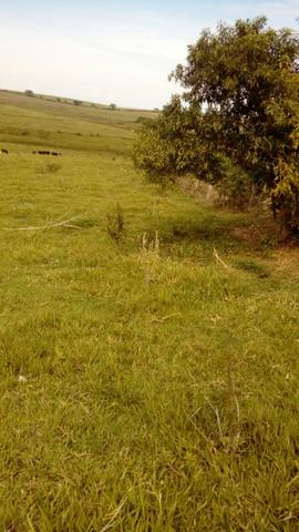 Sítio de 3.5 alqueires - Região de Promissão - Foto 3