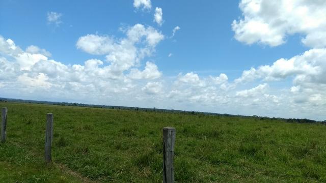 Fazenda 1.028 Hectares Dupla Aptidão - Nova Guarita - MT - Foto 3