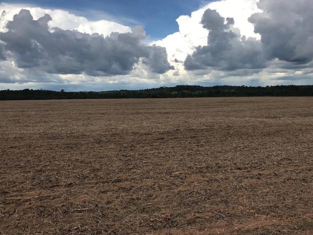 Fazenda 302 Hectares Plantando Lavoura - MT - Foto 3