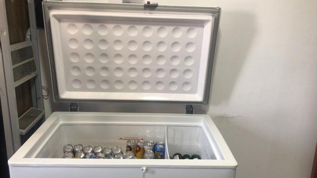 Frizer 310lt - Foto 5