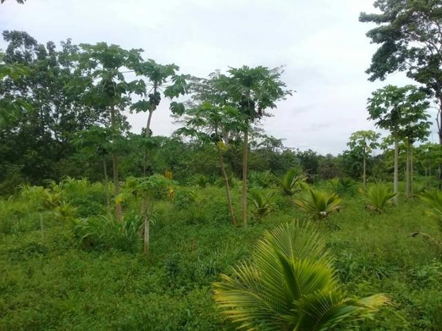 Colonia em sena madureira 30 mil - Foto 3