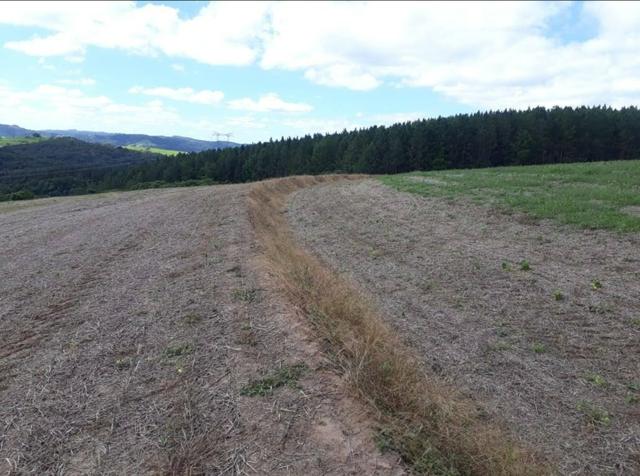 Terreno rural - Foto 2