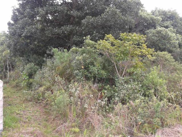 Terreno a venda - R$15.000,00 + parcelas - confira - Foto 5