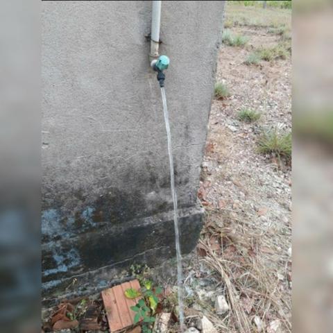 Sítio com área de 15,5hectares , Região da guia - Foto 7
