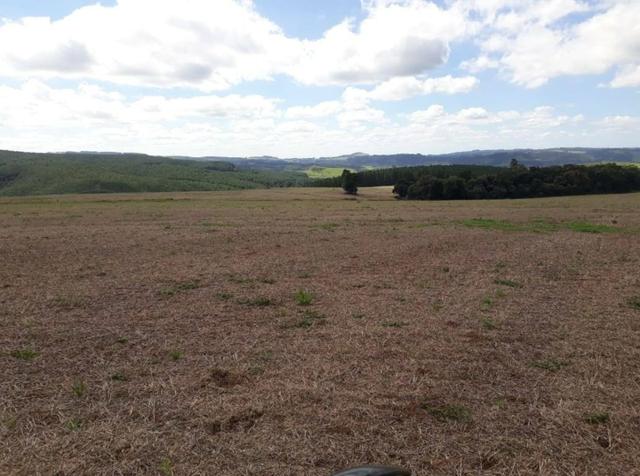 Terreno rural - Foto 12