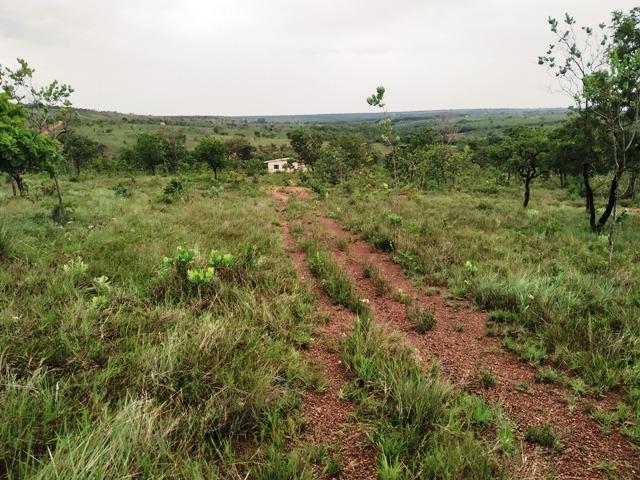 Elci Martins Vende Fazendinha em Três Marias, 50.000m2, água e luz - Foto 2