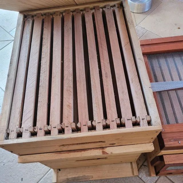 Caixas de abelhas 