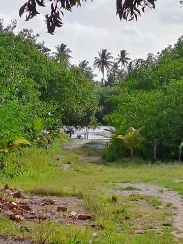 Lote - 10x20 - Ilha de Santa Rita
