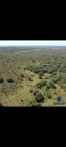  Fazenda 86.580 hectares em São Félix do Araguaia  - Foto 4
