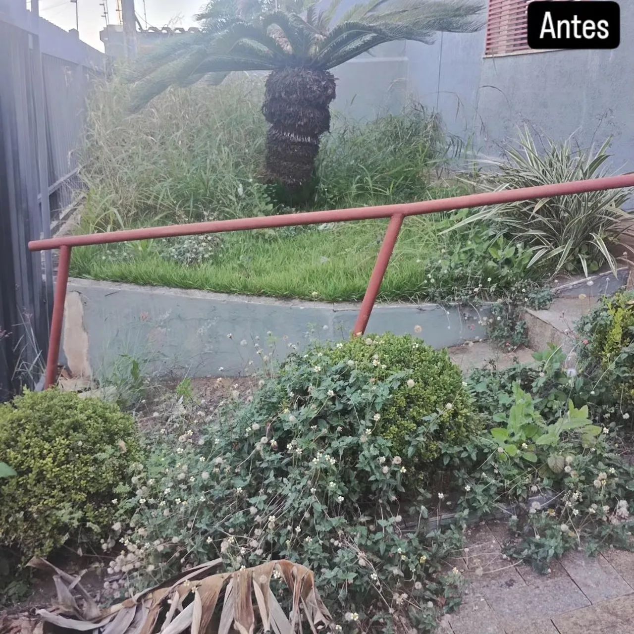 Jardineiro  - Foto 5