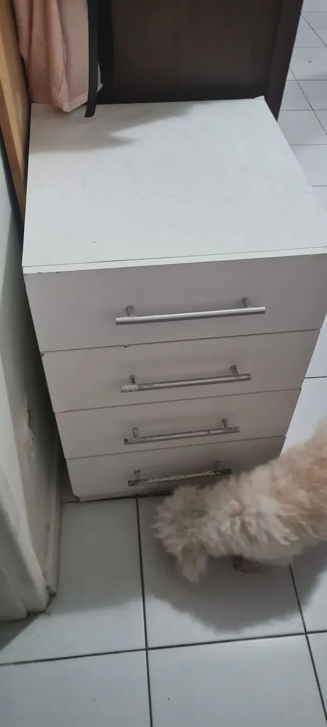 Móveis Para Organização Maceió, Alagoas