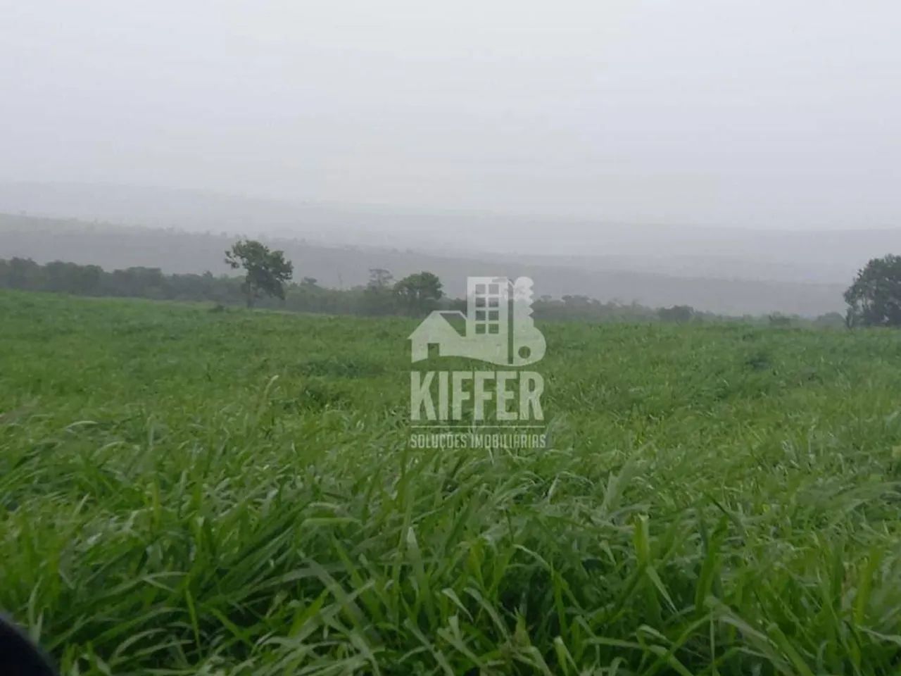 Fazenda com 6 dormitórios à venda,  m² por R$ 62.000.000,00 - Zona Rural - Campos Altos/MG - Foto 7