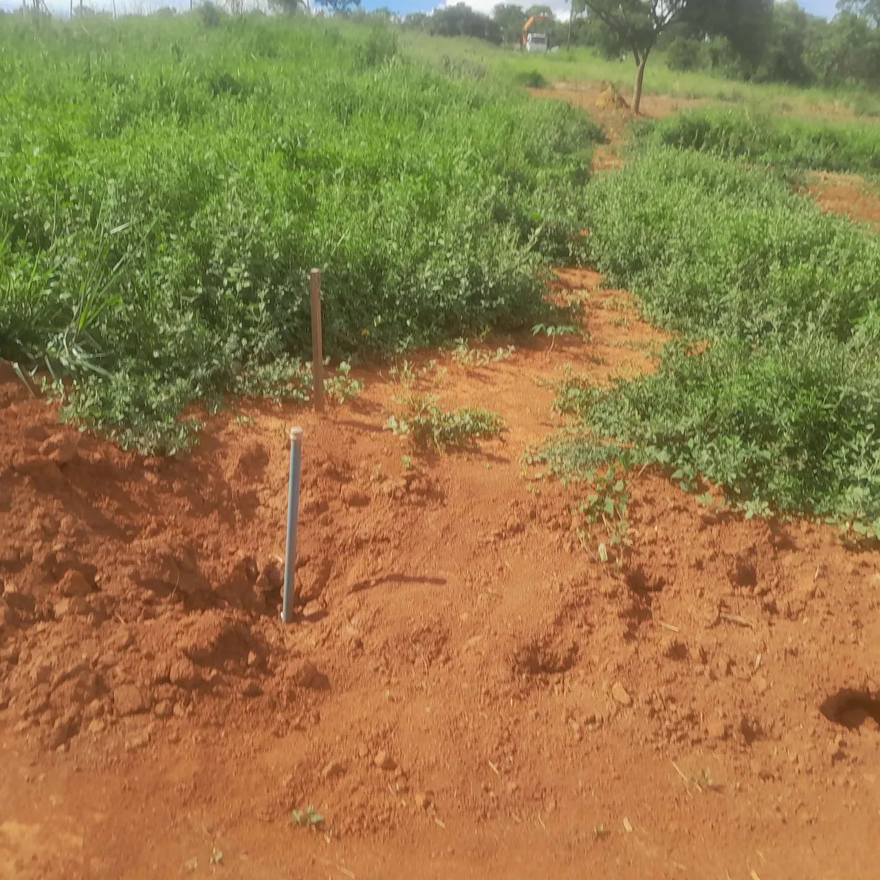 Terreno com área verde em região tranquila - Foto 8