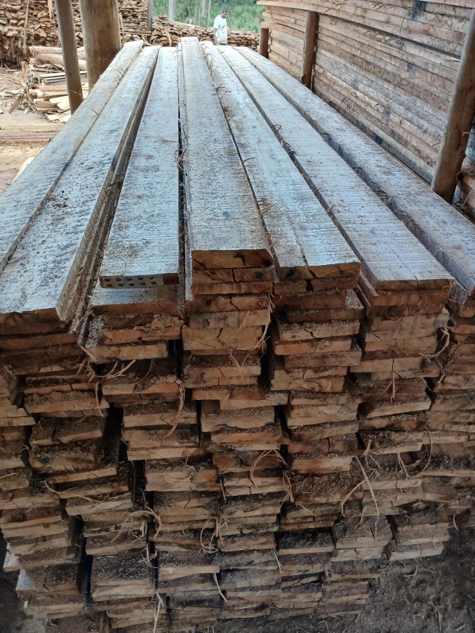 Madeira de eucalipto  - Foto 2