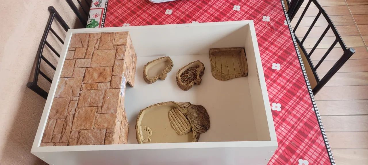 Terrário para Tartarugas - Foto 5