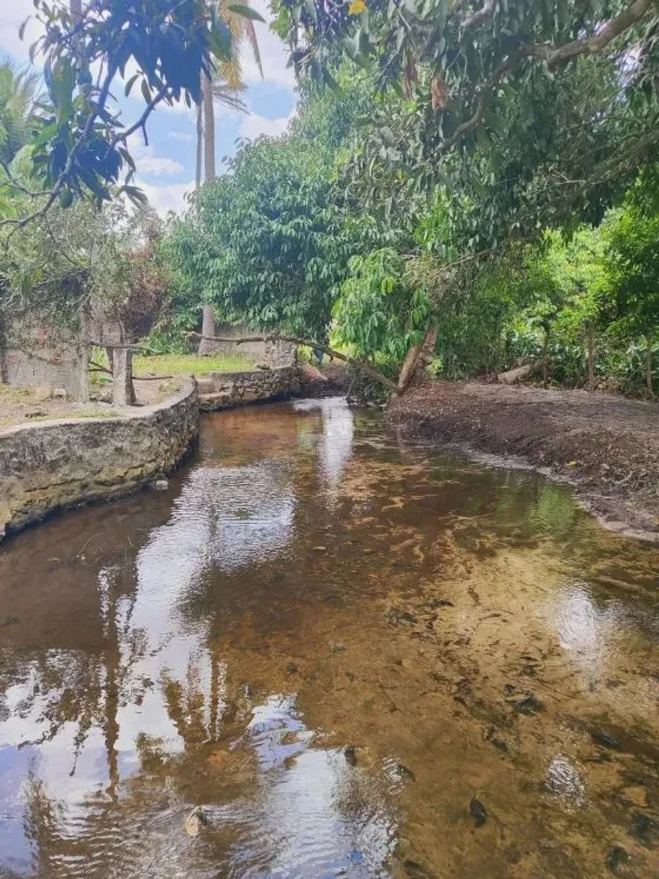 Granja com 1.5 hectares na região de japecanga município de são José de Mipibu-RN