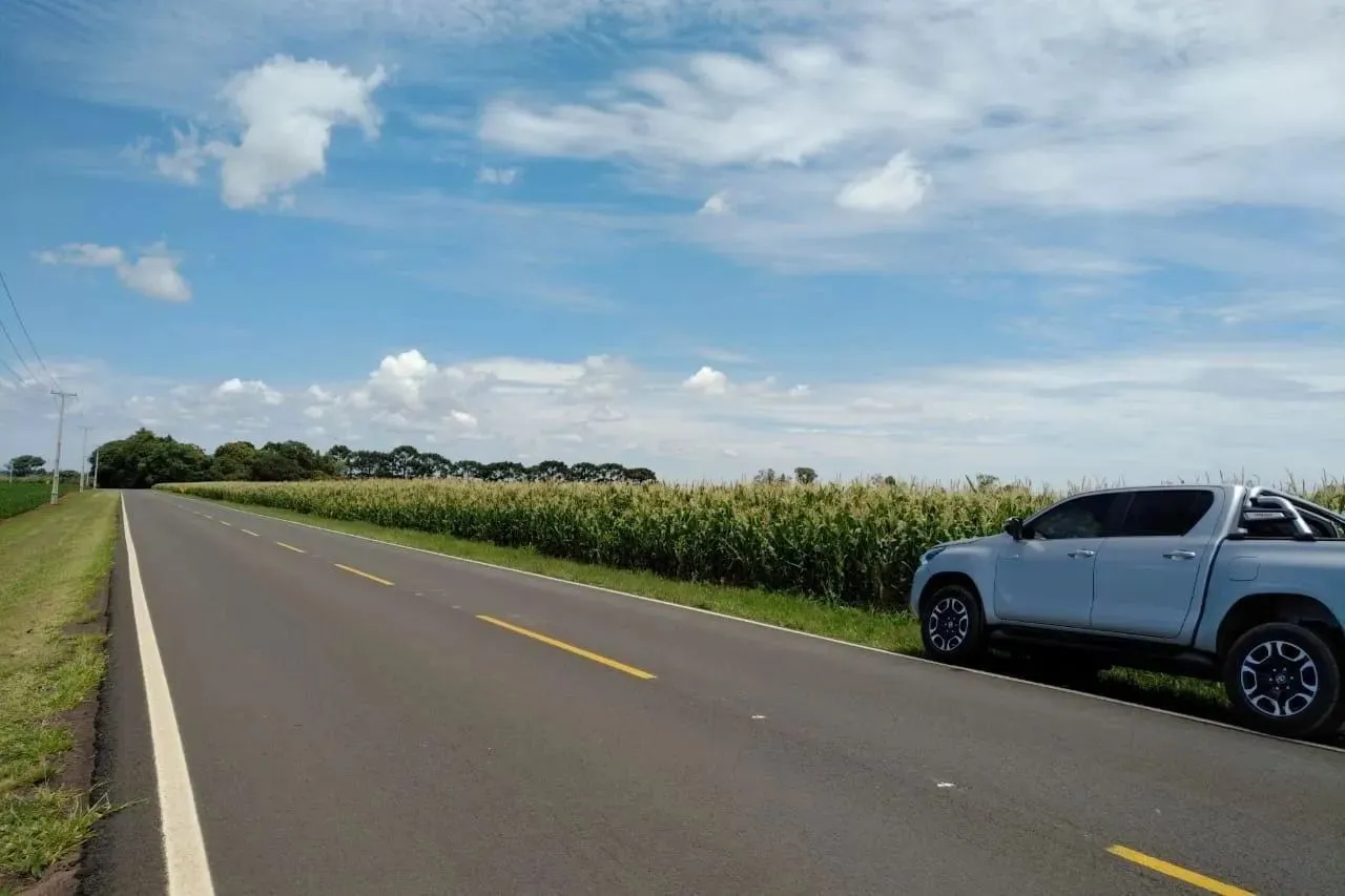 Porto Amazonas, Fazenda de soja arrenda, plantando as 100 alqueires, área total de 2662000