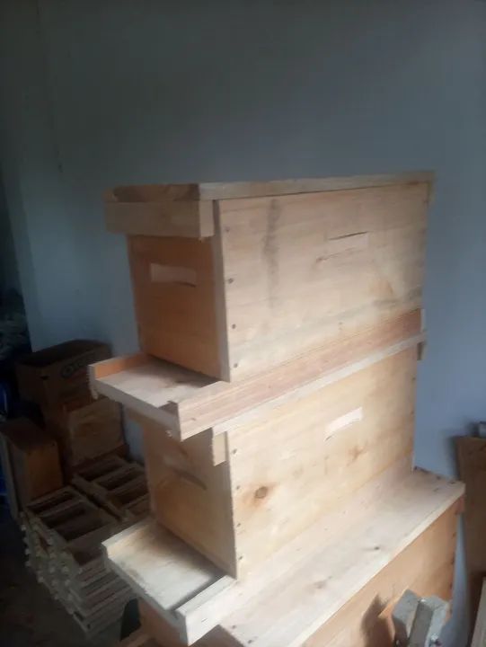 Caixa núcleo de 5 caixilhos para abelhas apis  - Foto 3