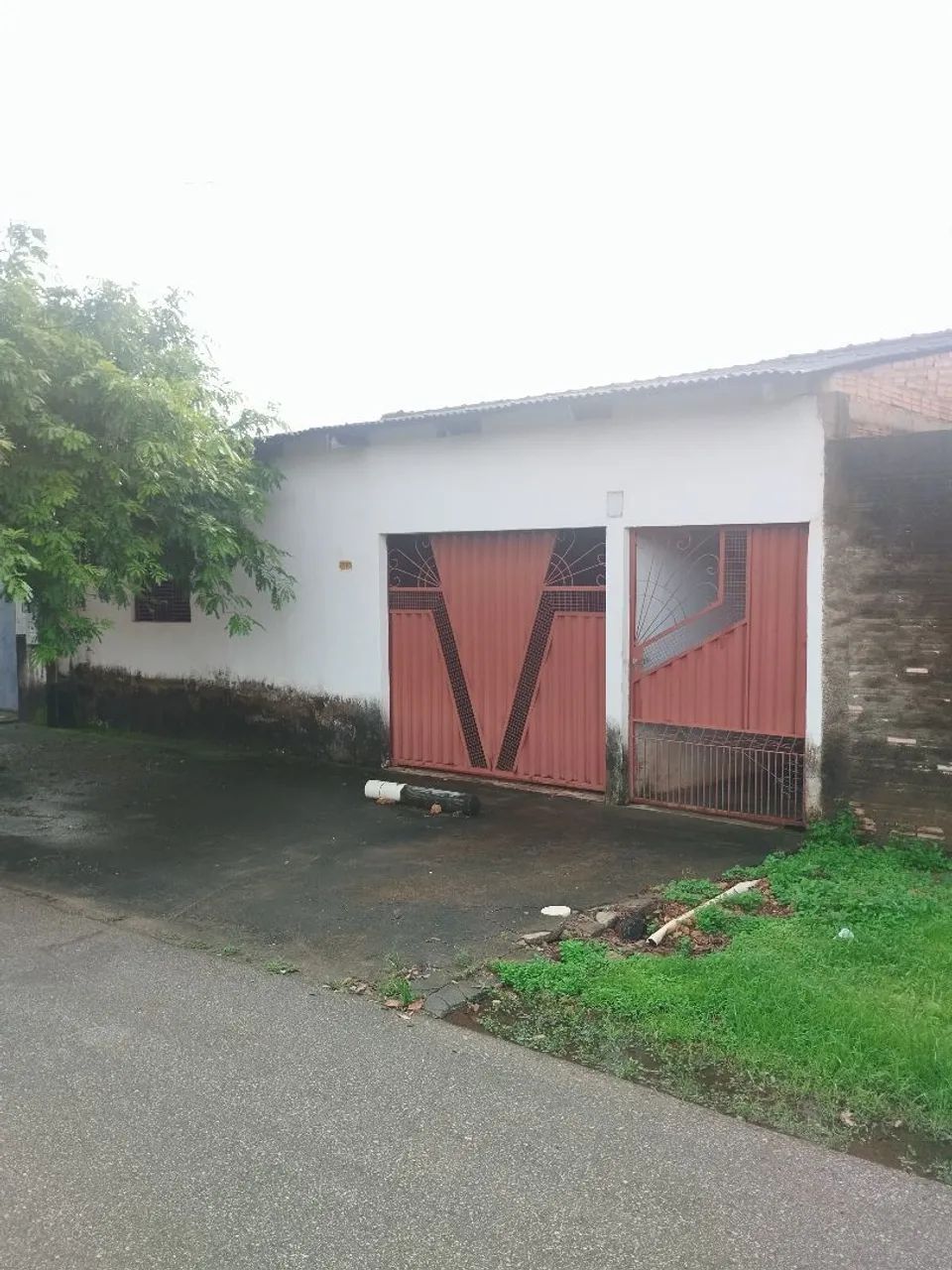 Foto - Porto Velho - Castanheira