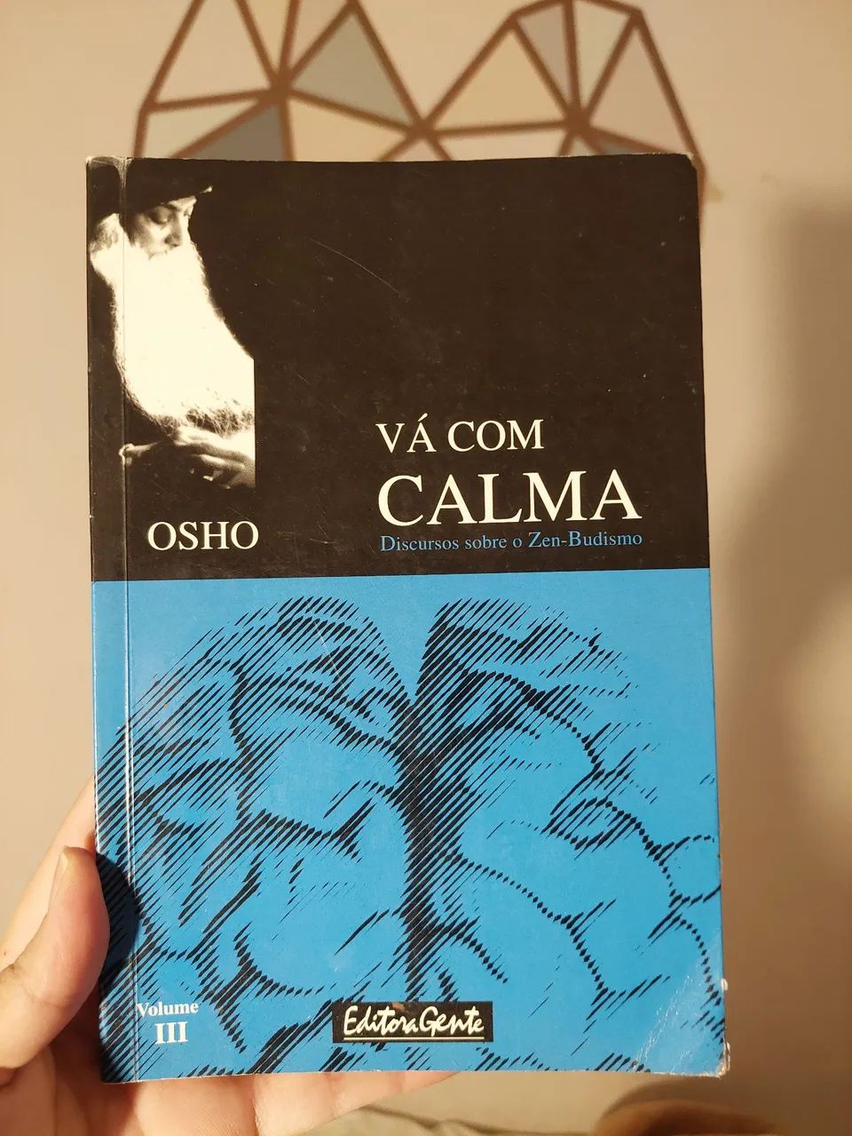 Livro Va com calma do Osho