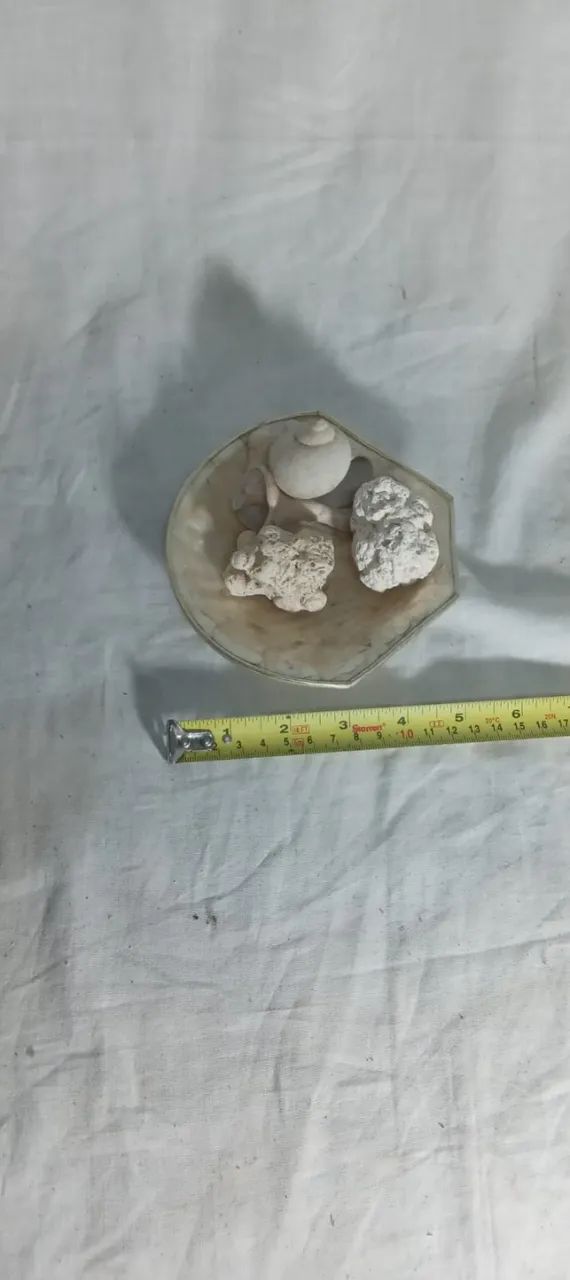 Decoração com Concha feita de madrepérola com uma borda - Foto 3