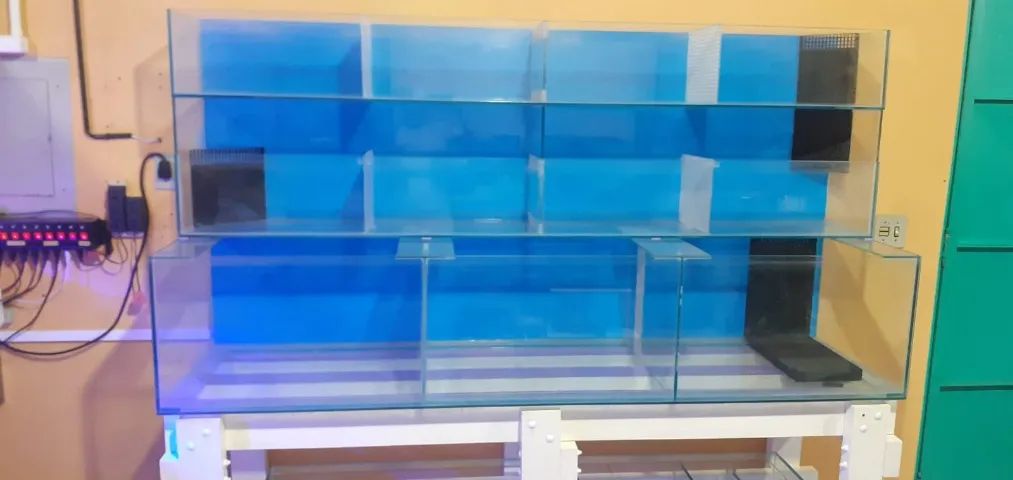 Bateria de aquários (Para lojistas) - Foto 3