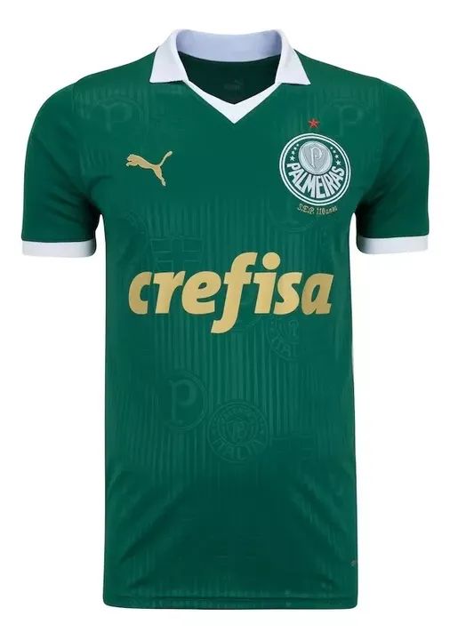 Camisa Palmeiras 2024