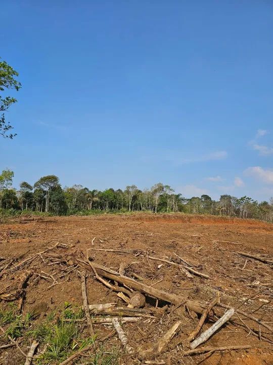 Chacara belas Áreas Roseira Colombo/ Campina Grande do Sul - Foto 15