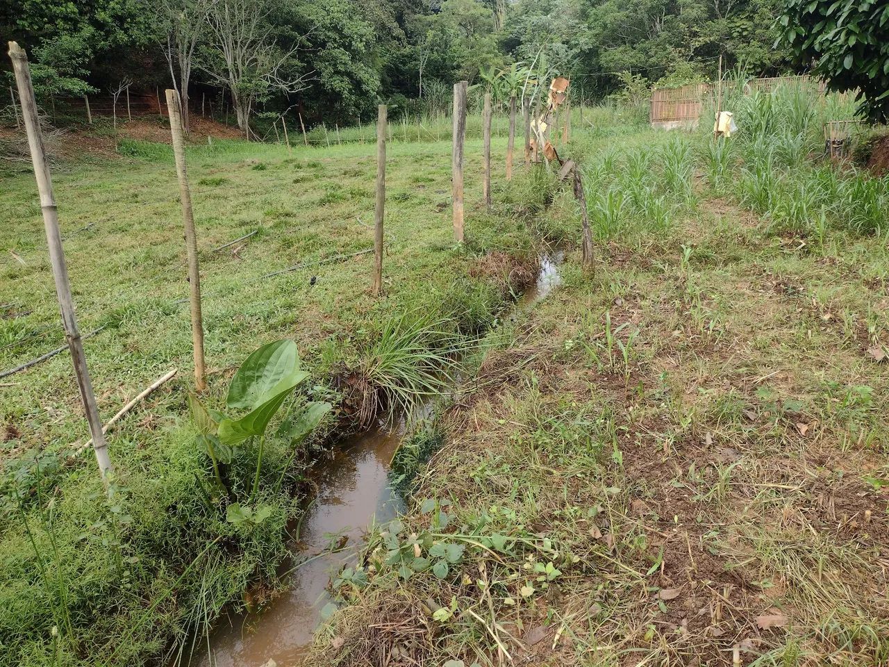 Foto - Cataguases - Thomé