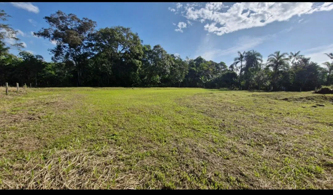 Pirabeiraba - Terreno Estrada da Ilha (2.175m2 Escriturado)
