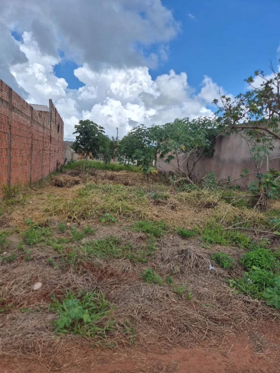 Foto - Campo Grande - Conjunto José Abrão