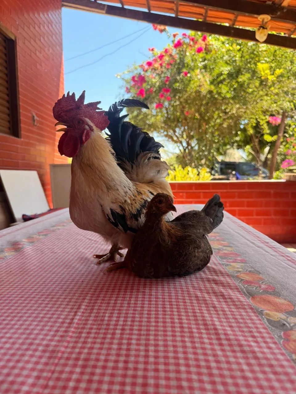 Vendo casal Garnizé - Foto 2