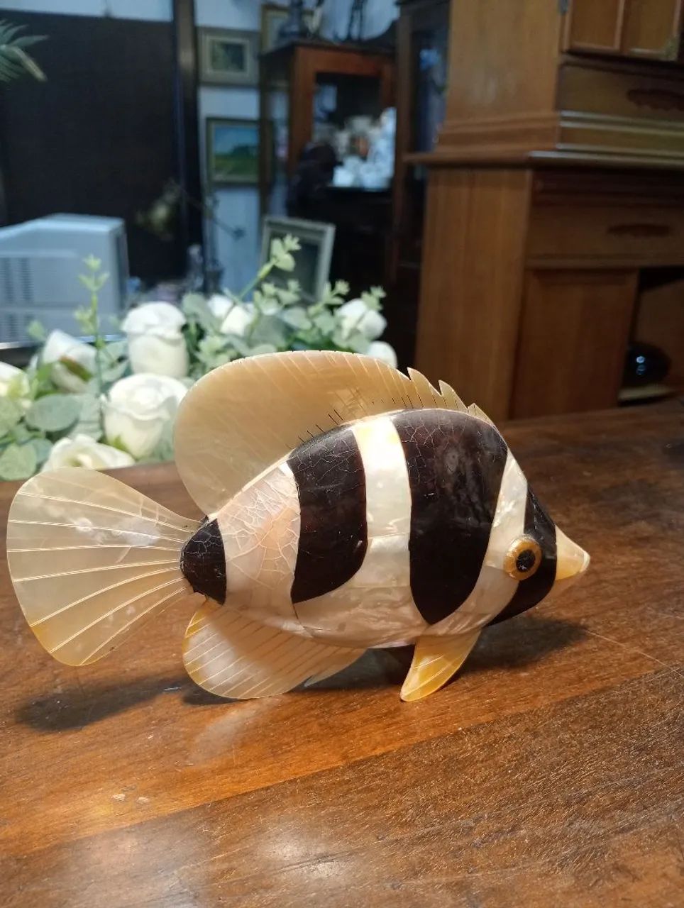 Peixe  - Foto 2
