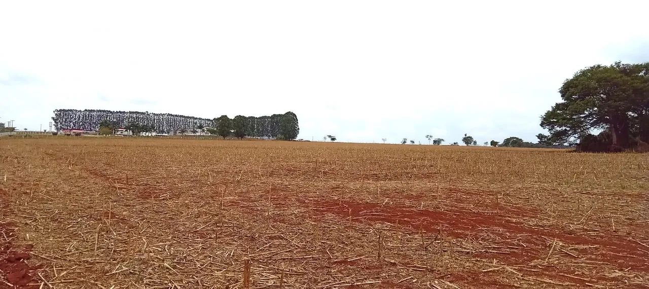 ÁREA, 245000M² ÁREA DE TERRENO À VENDA EM BAIRRO TRIUNFO - Foto 5