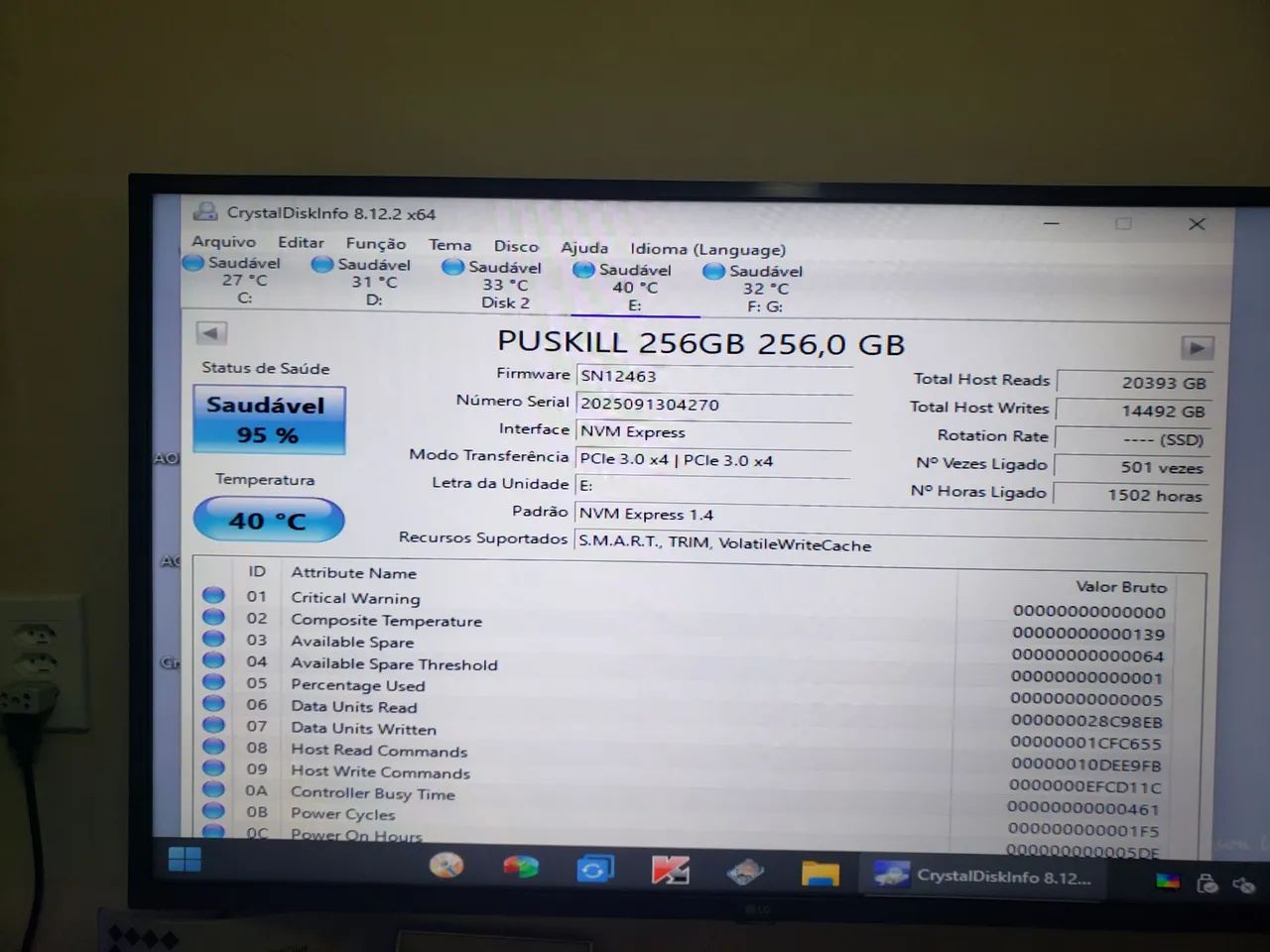 NVME PUSKILL 256 GB - Foto 3