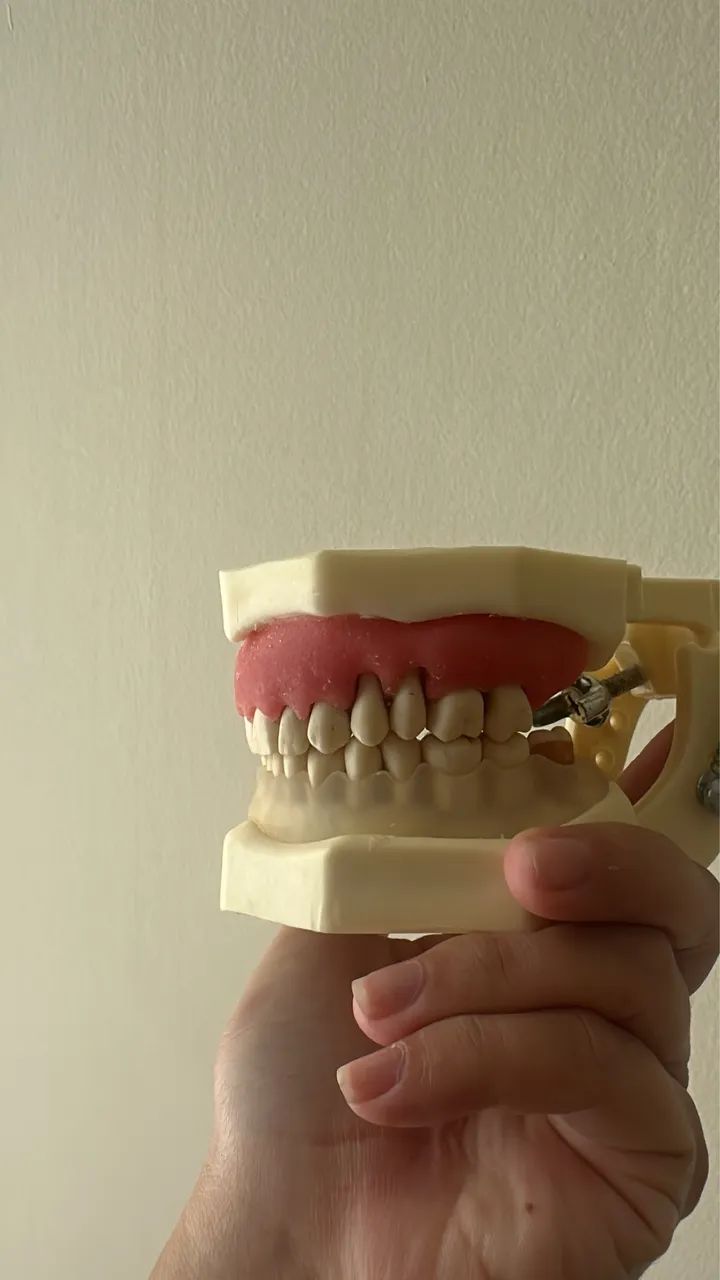 Manequim de Periodontia Orais - Foto 2