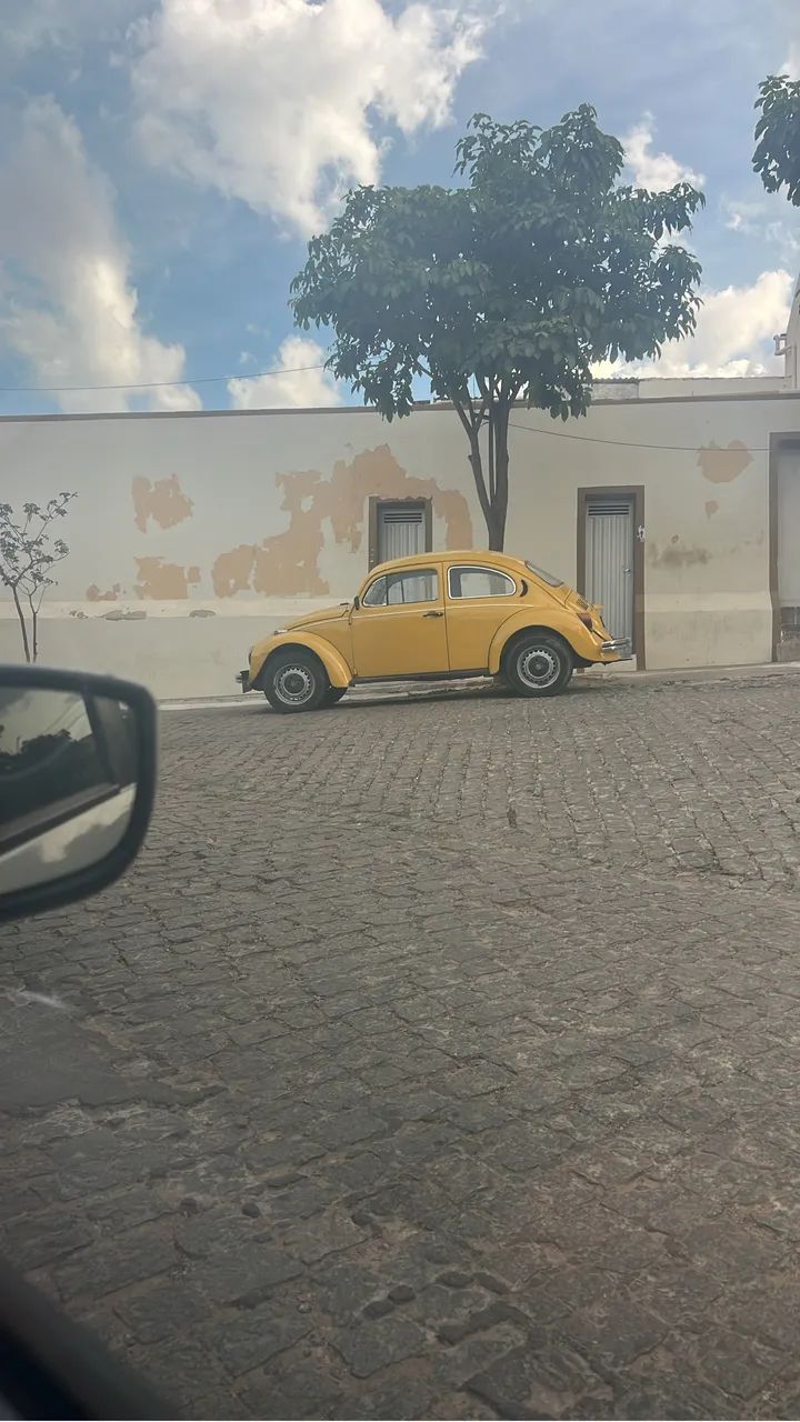 Lavador e interneiro