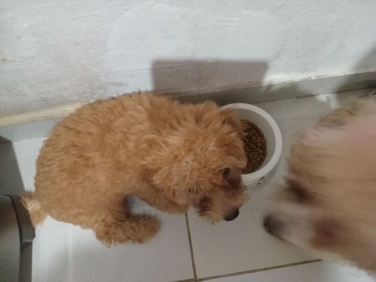 Vende-se 
