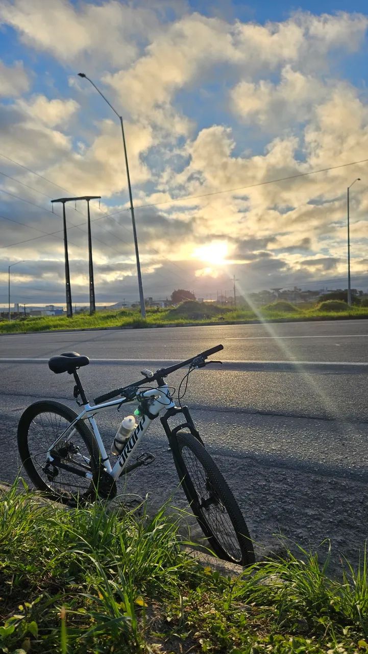 Bicicleta Aro 29