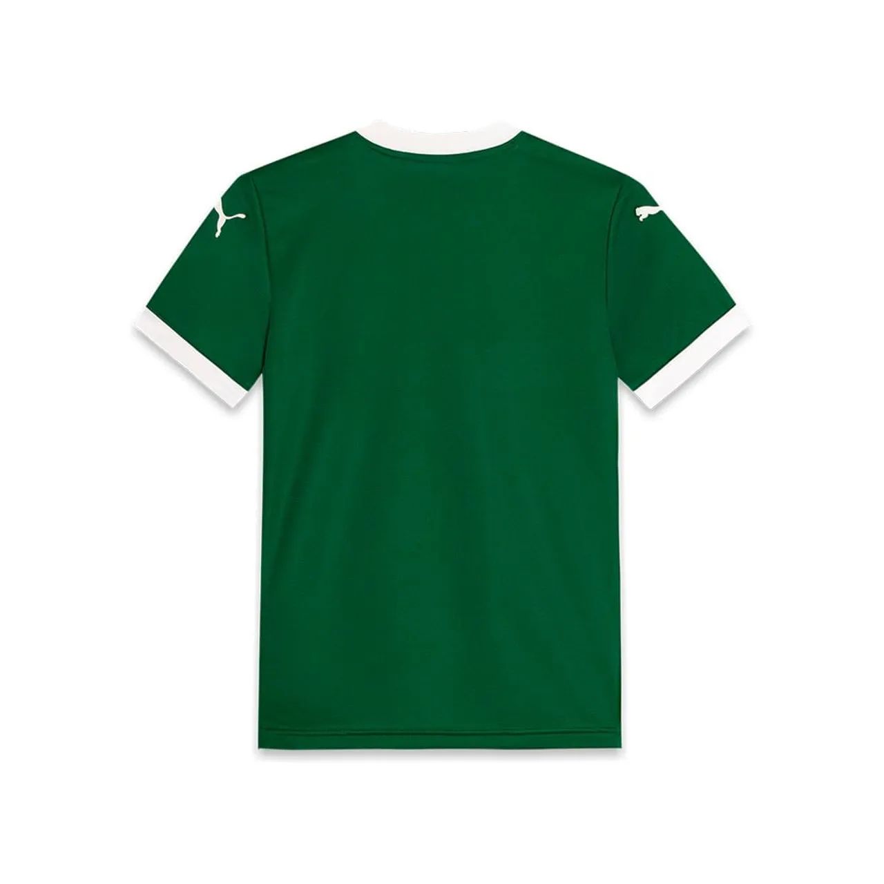 Camisa Palmeiras 2025 - Juvenil 14 - Foto 2