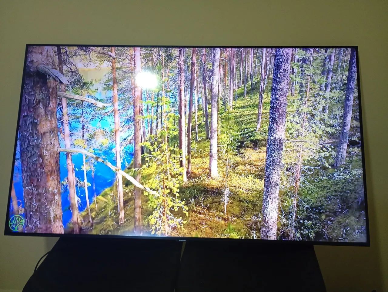 Tv Samsung 55 polegadas 