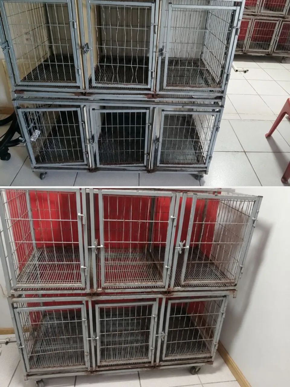 Petshop