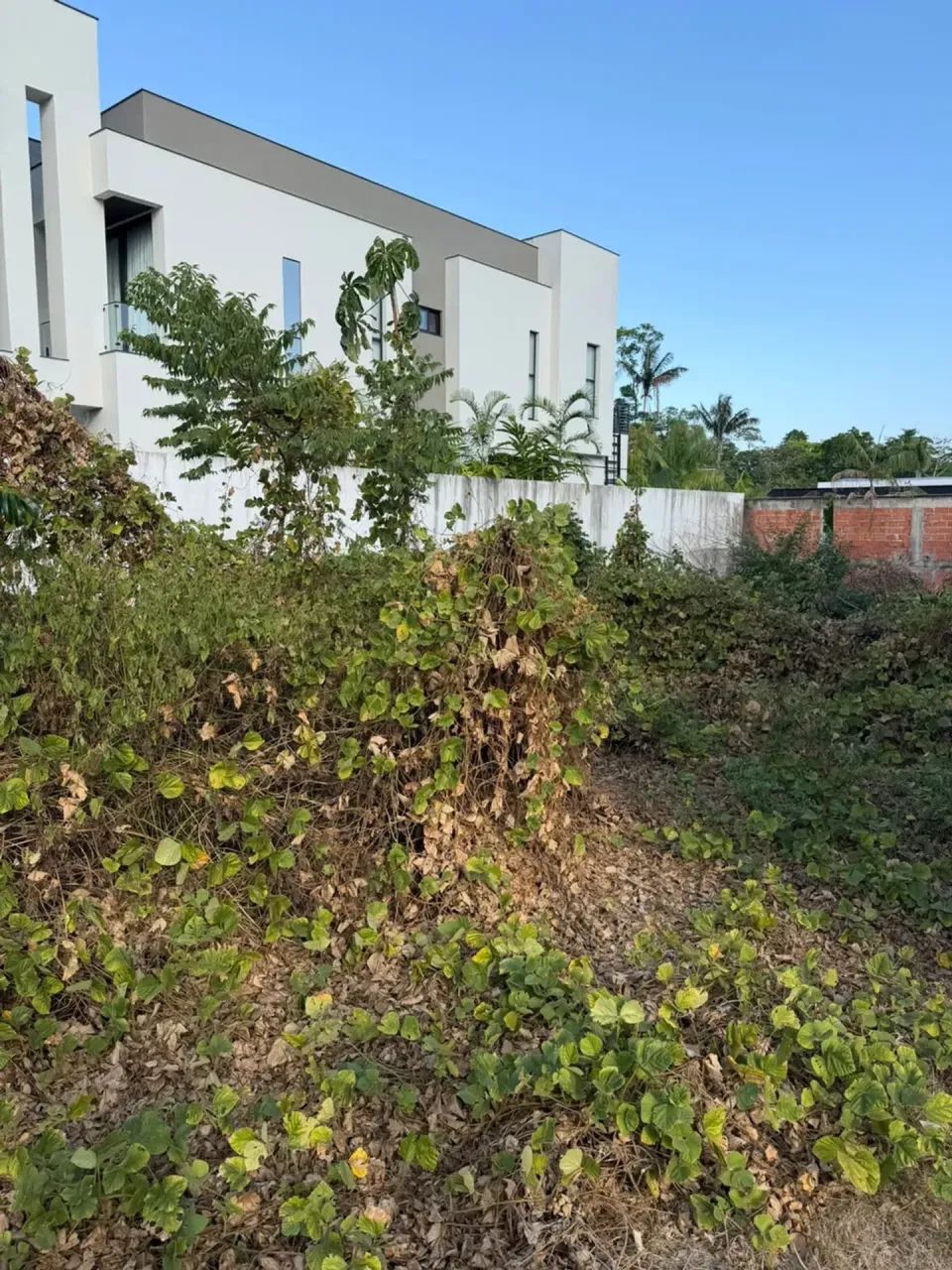 Alphaville 1 / Lote com 508,97m² / meio de quadra - Foto 2