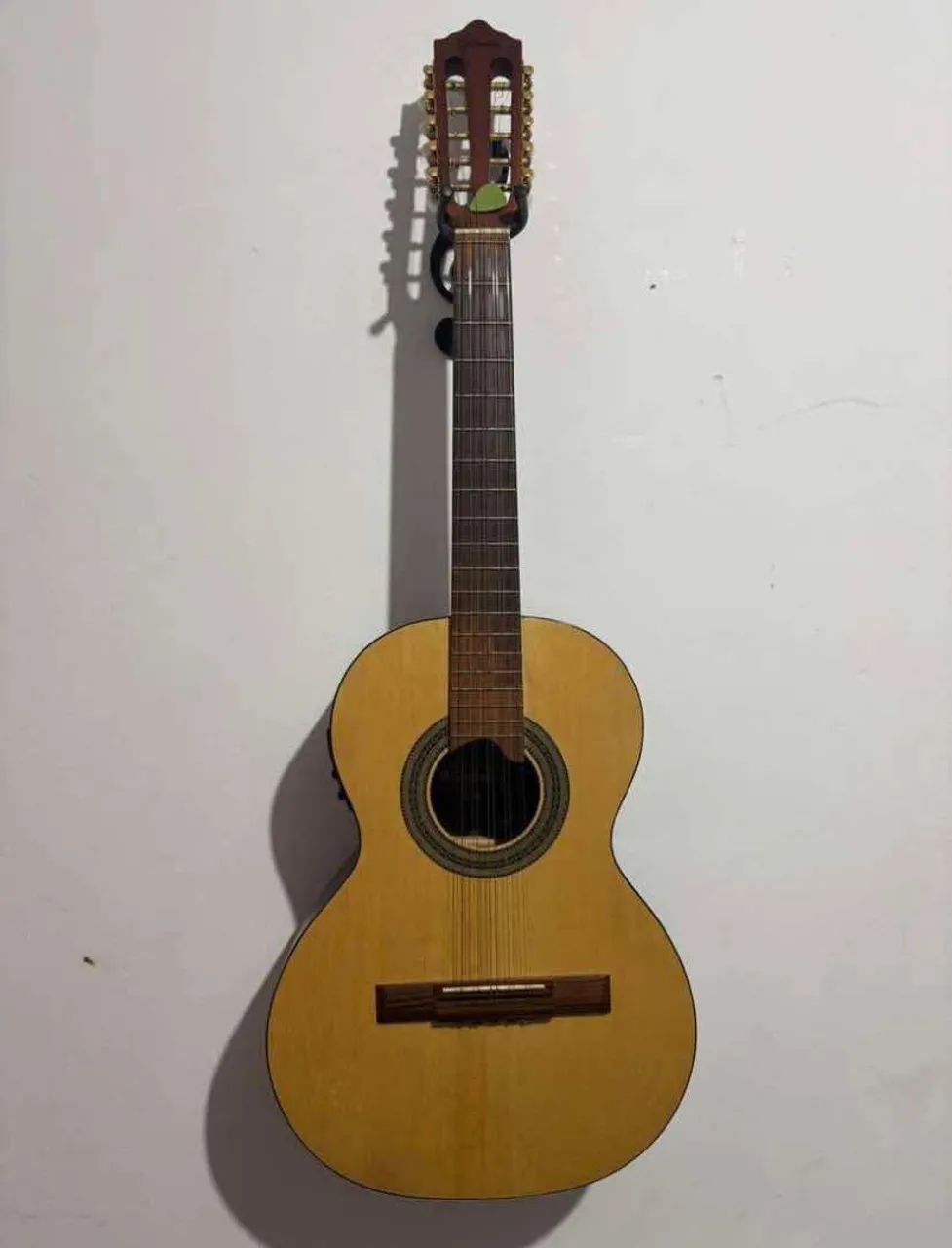Viola caipira Gianini Raiz