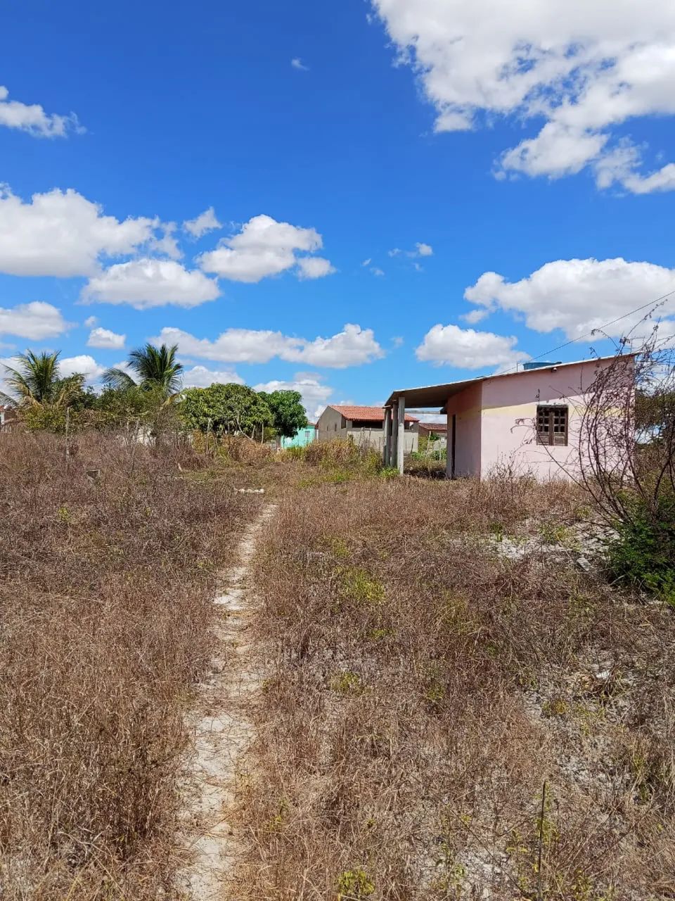 Vendo sítio  - Foto 2