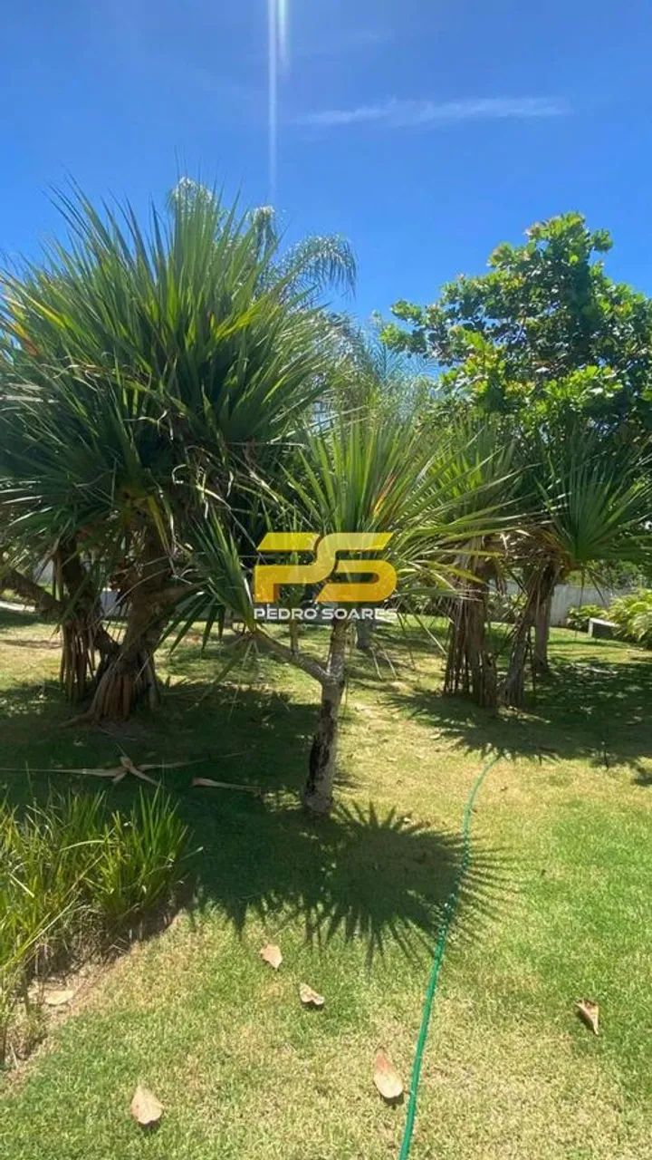 TERRENO À VENDA CONDOMÍNIO MAR DE TABATINGA | CONDE-PB - Foto 5