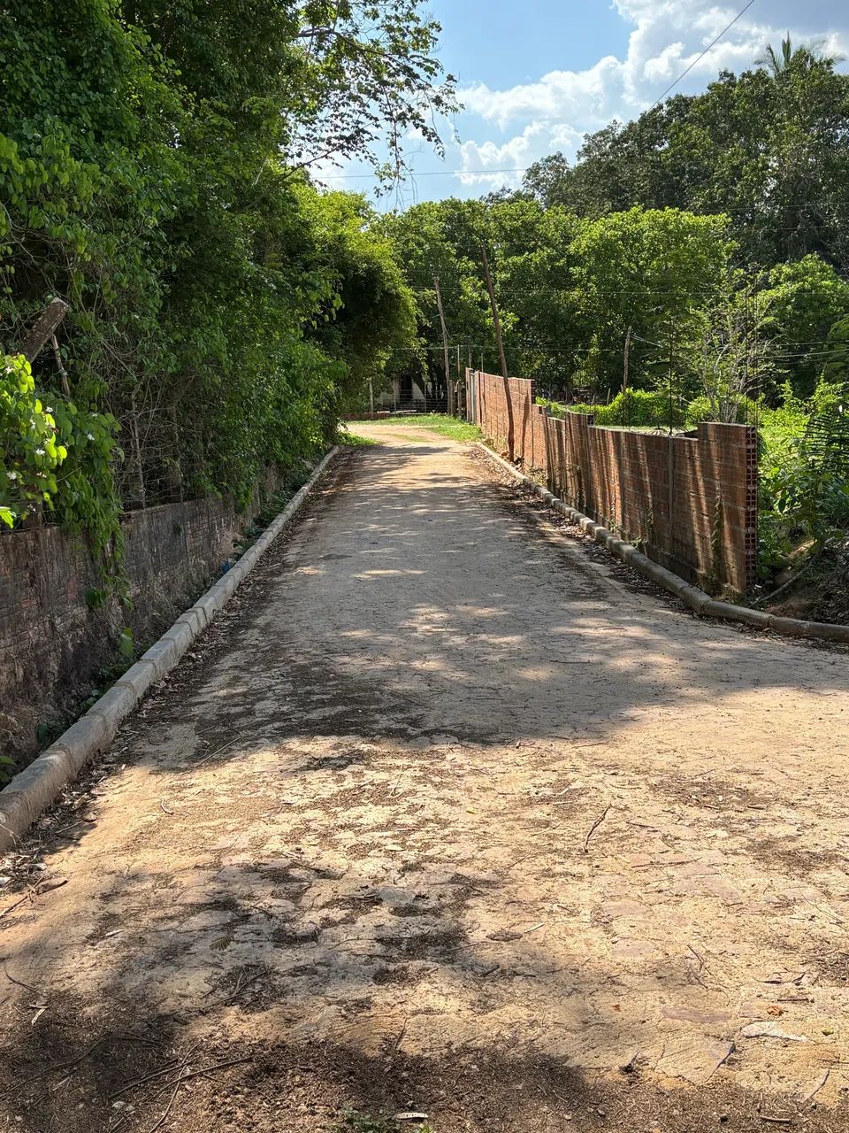 Fazendinha Seu Lobato - Foto 2