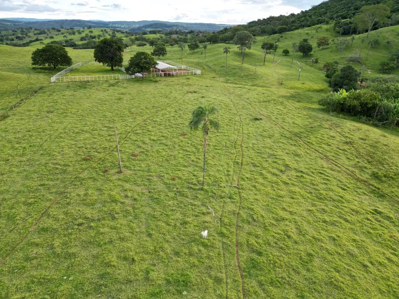 Fazenda Itapaci - Go - Foto 5