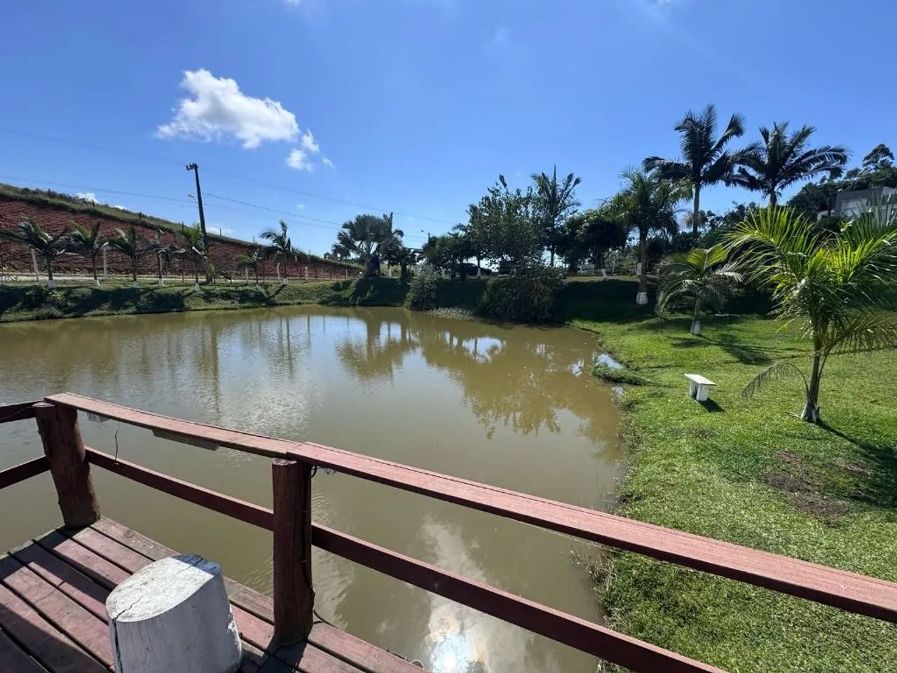 Sítio | Venda | Morro Alto - Foto 2